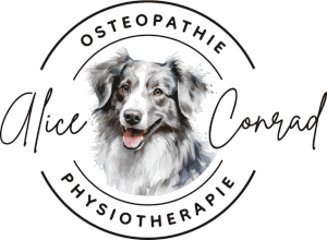 Hundephysiotherapie by Alice Conrad